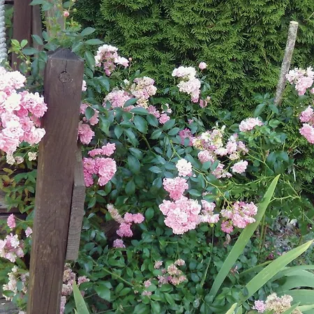 Tatil Evi Awesome In Et Born