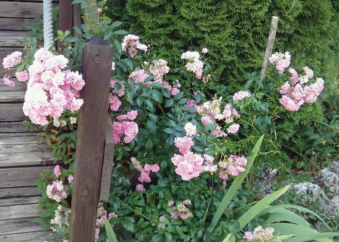 Feriehus Awesome In Et Born